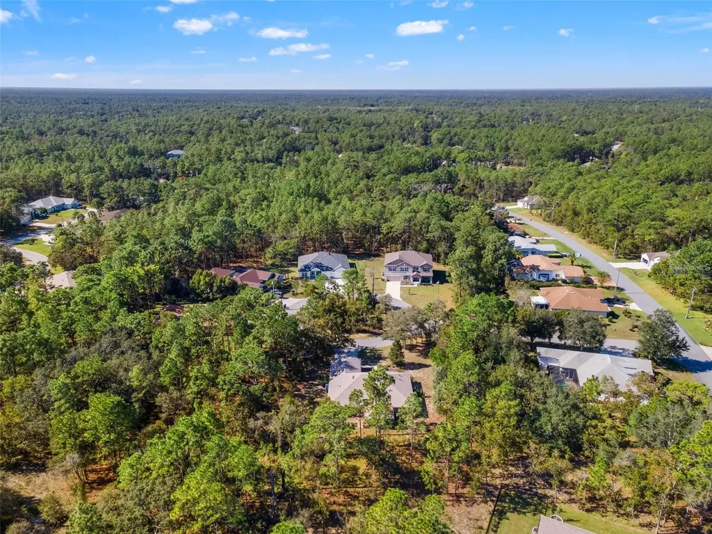 5 Boxleaf Homosassa FL 34446