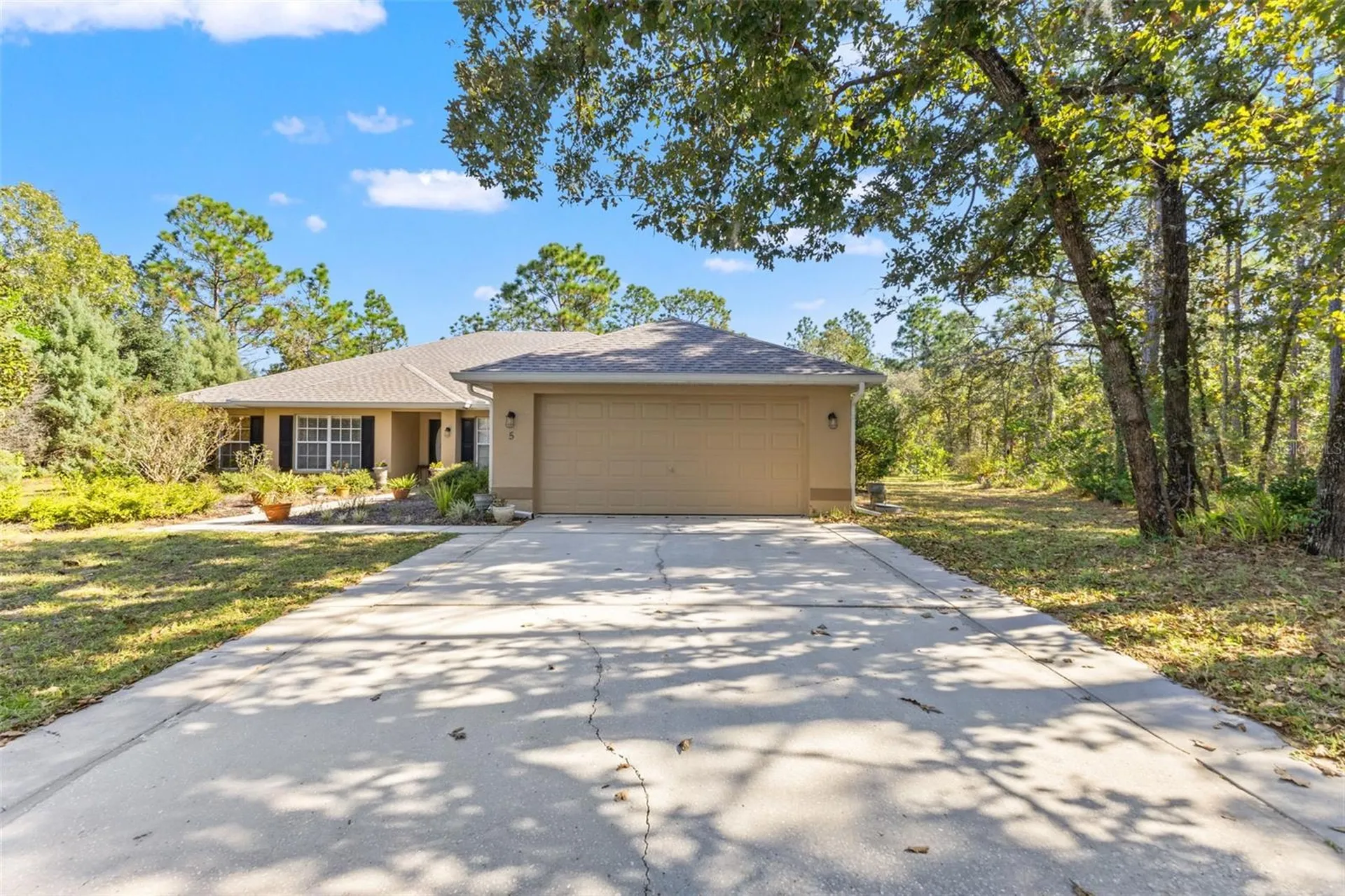5 Boxleaf Homosassa FL 34446