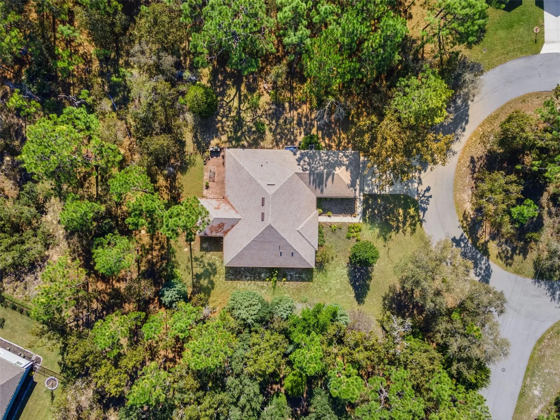 5 Boxleaf Homosassa FL 34446