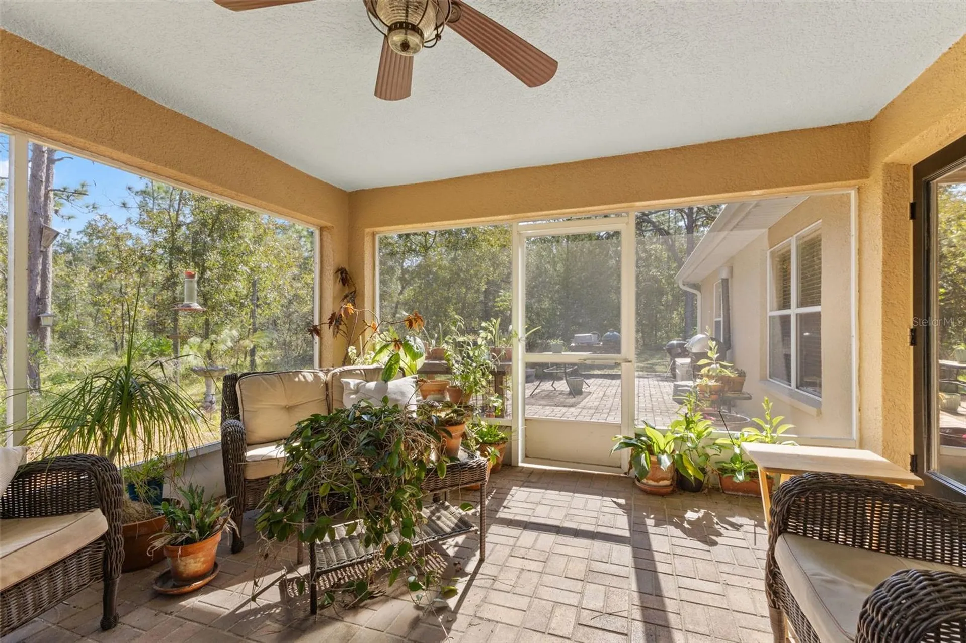 5 Boxleaf Homosassa FL 34446