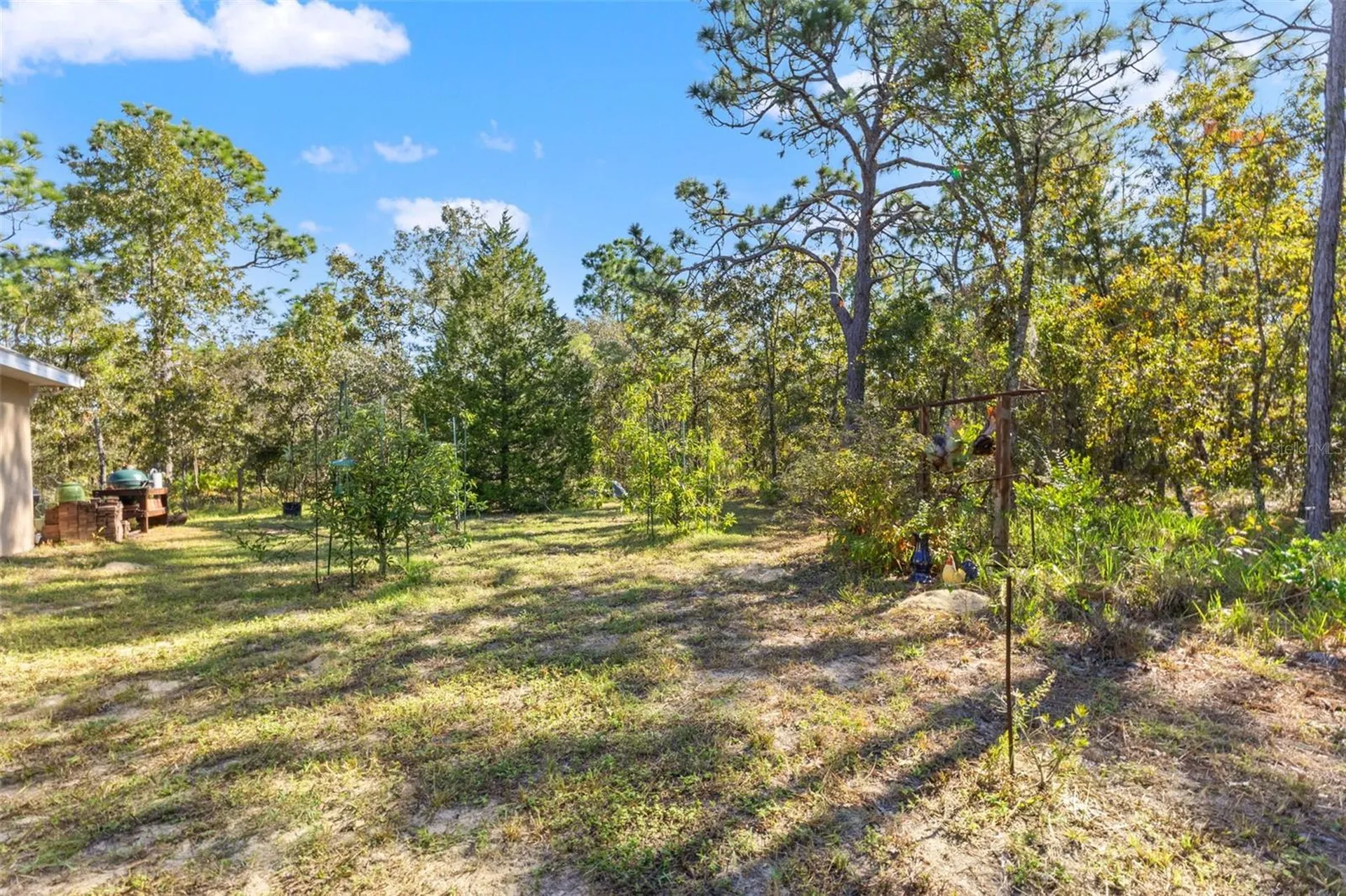 5 Boxleaf Homosassa FL 34446