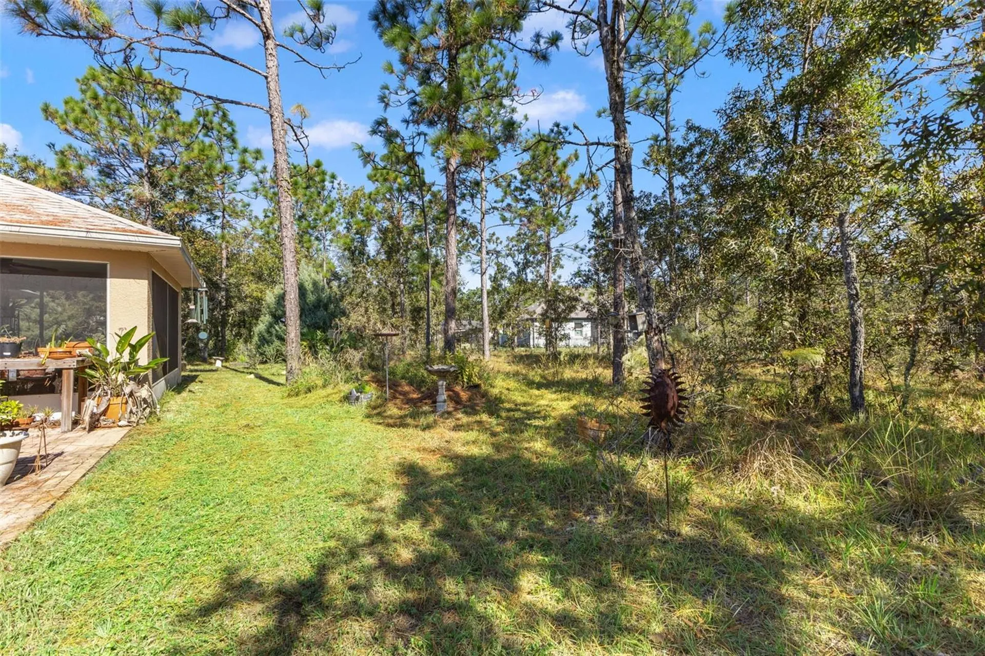 5 Boxleaf Homosassa FL 34446