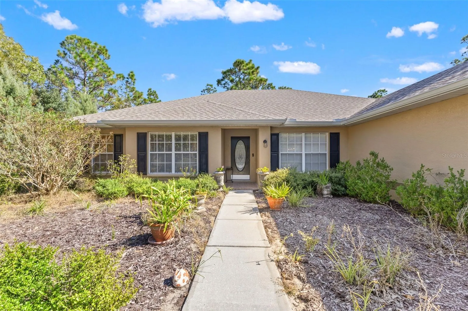 5 Boxleaf Homosassa FL 34446