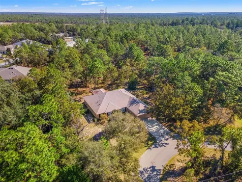 5 Boxleaf Homosassa FL 34446