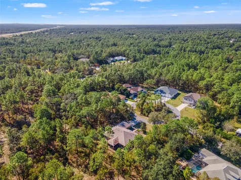 5 Boxleaf Homosassa FL 34446