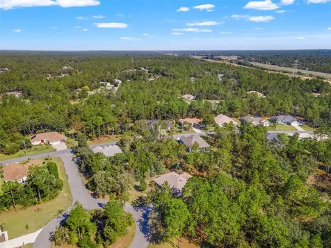 5 Boxleaf Homosassa FL 34446