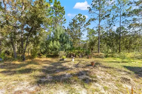 5 Boxleaf Homosassa FL 34446