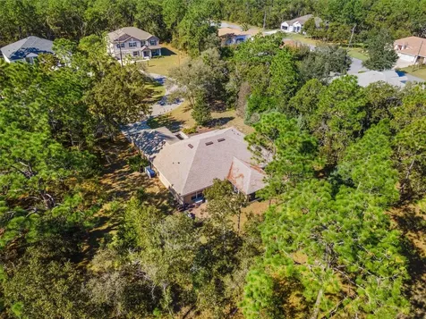 5 Boxleaf Homosassa FL 34446