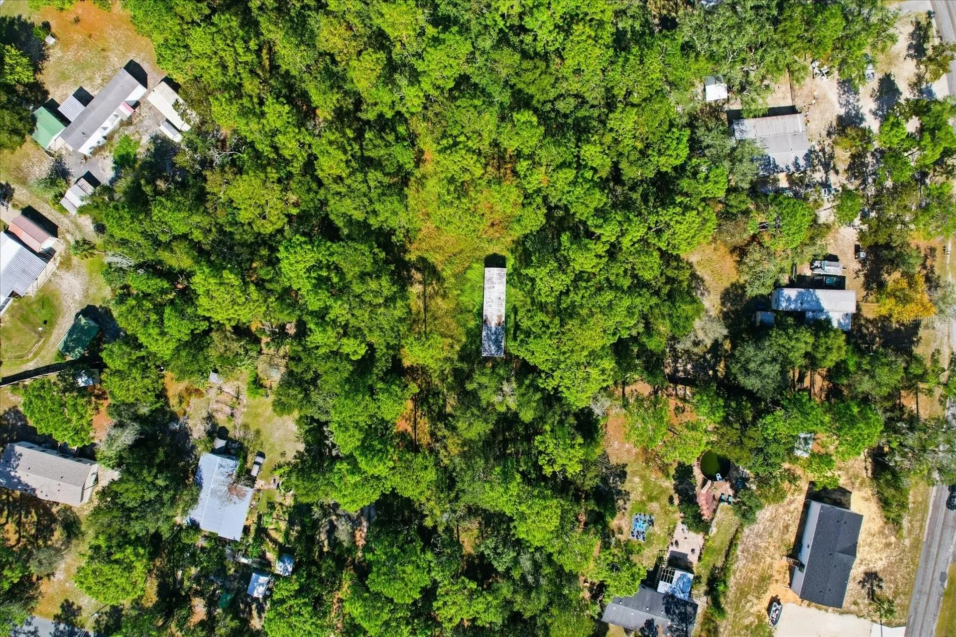 3351 S Junket Drive Homosassa FL 34448