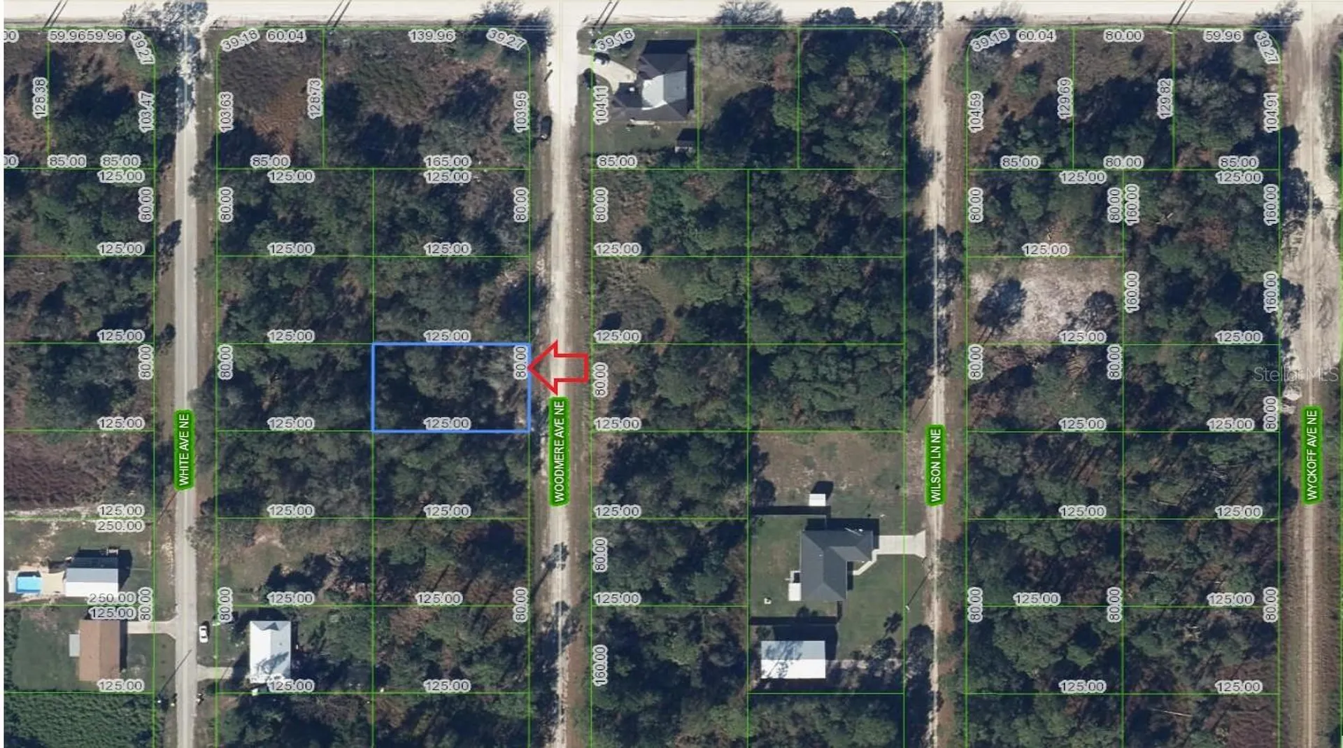 107 Woodmere Avenue NE Lake Placid FL 33852