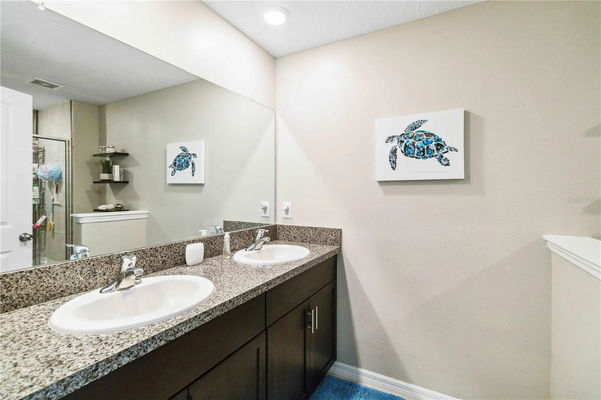 14339 Easy Goer Street Ruskin FL 33573
