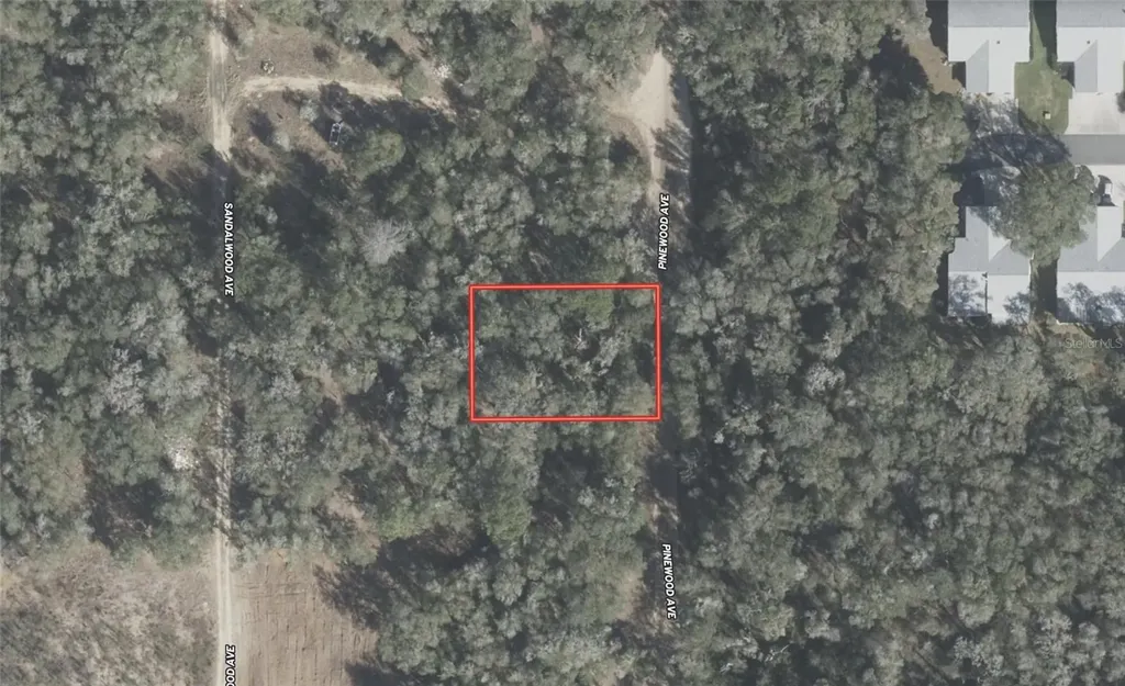 611 Pinewood Avenue Inverness FL 34453