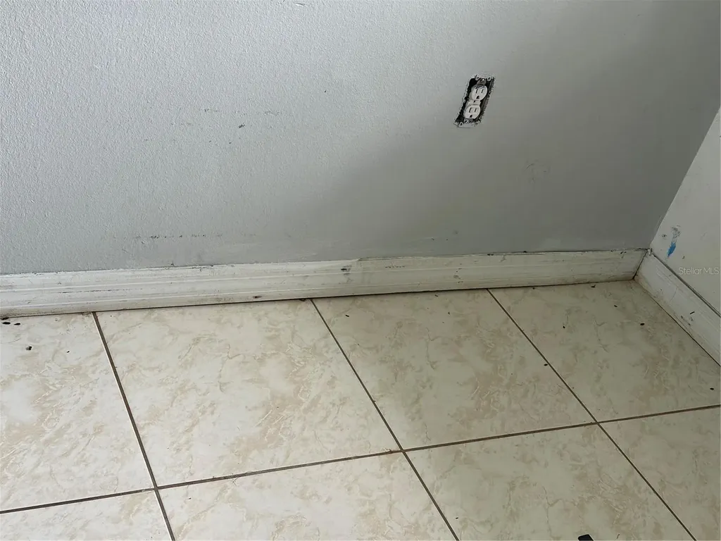13326 Sproston Point Orlando FL 32832