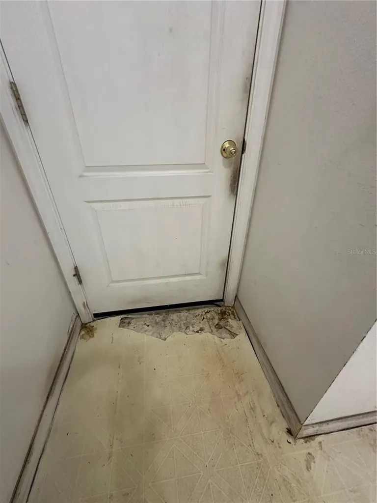 13326 Sproston Point Orlando FL 32832