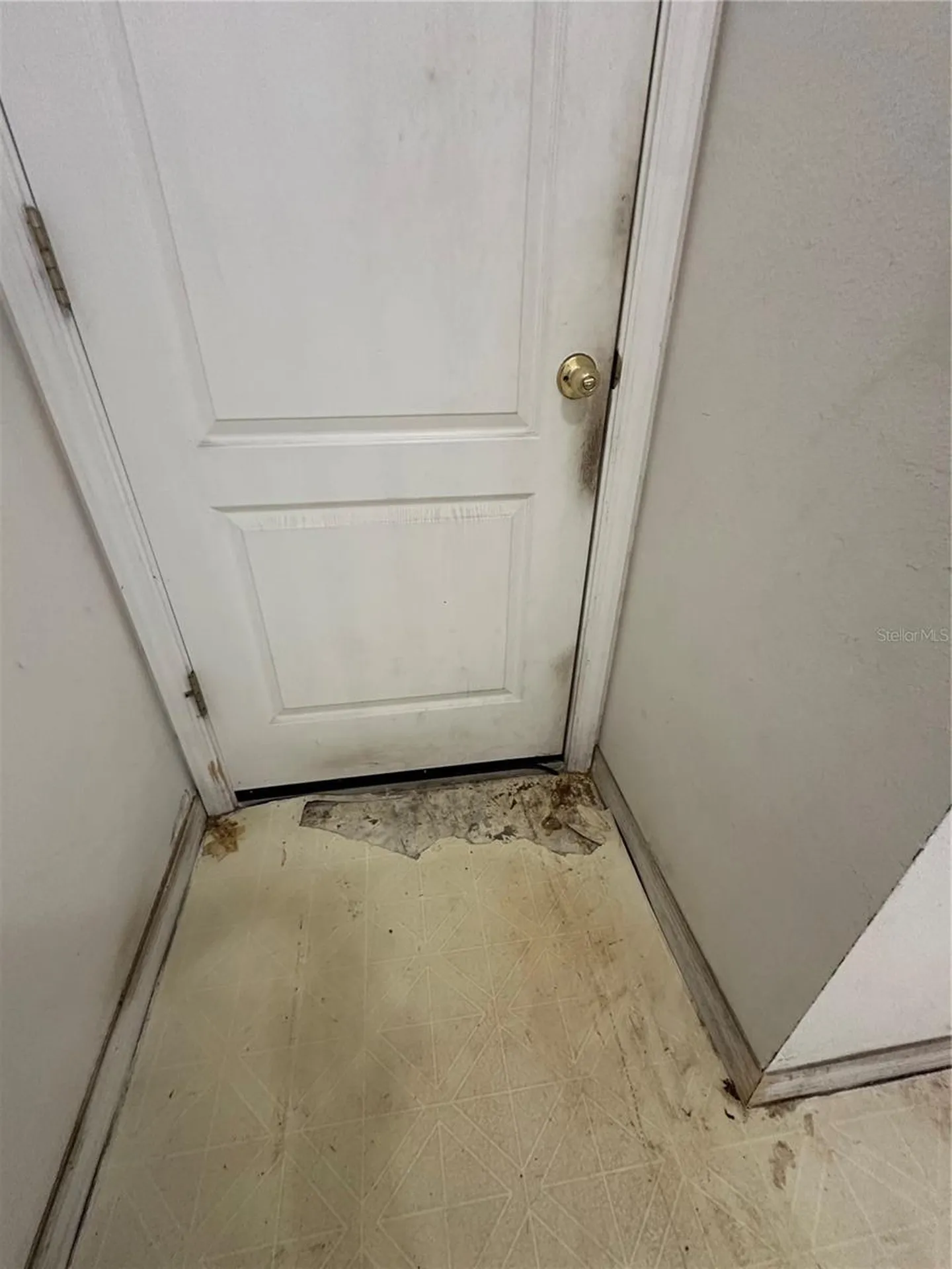 13326 Sproston Point Orlando FL 32832