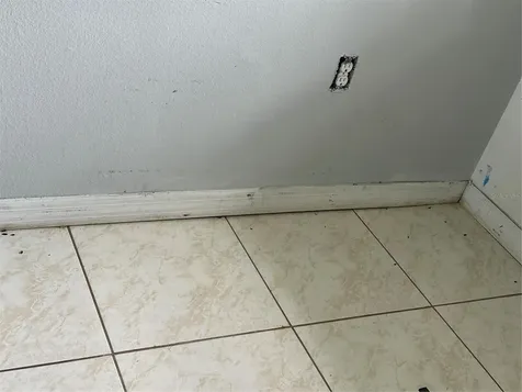 13326 Sproston Point Orlando FL 32832