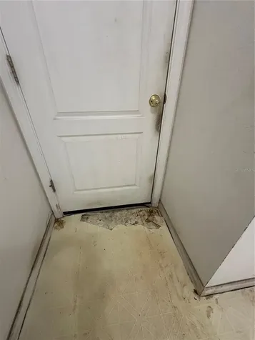 13326 Sproston Point Orlando FL 32832