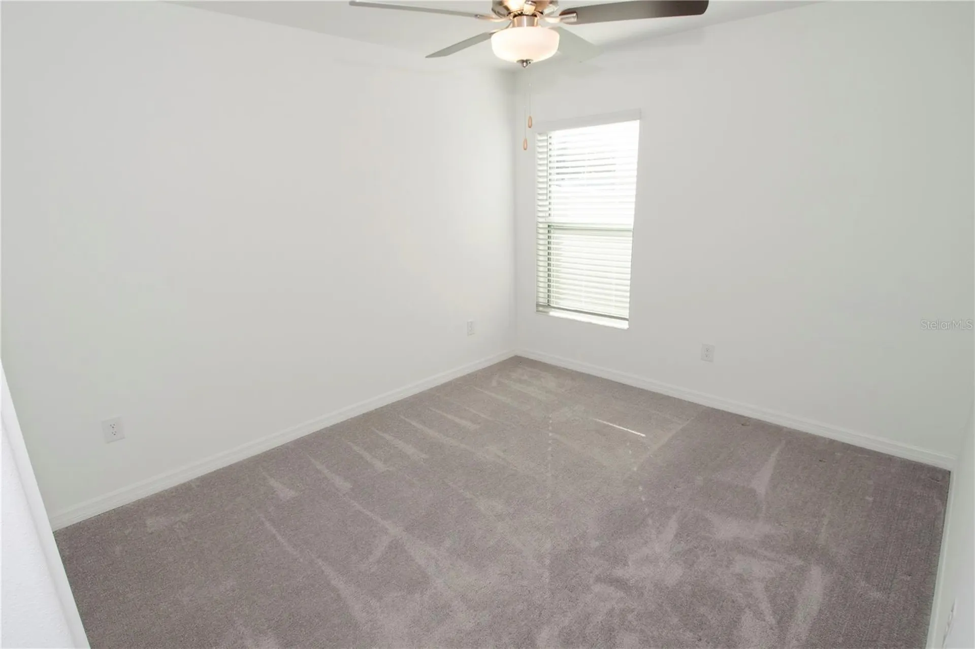 36618 Garden Wall Way Zephyrhills FL 33541