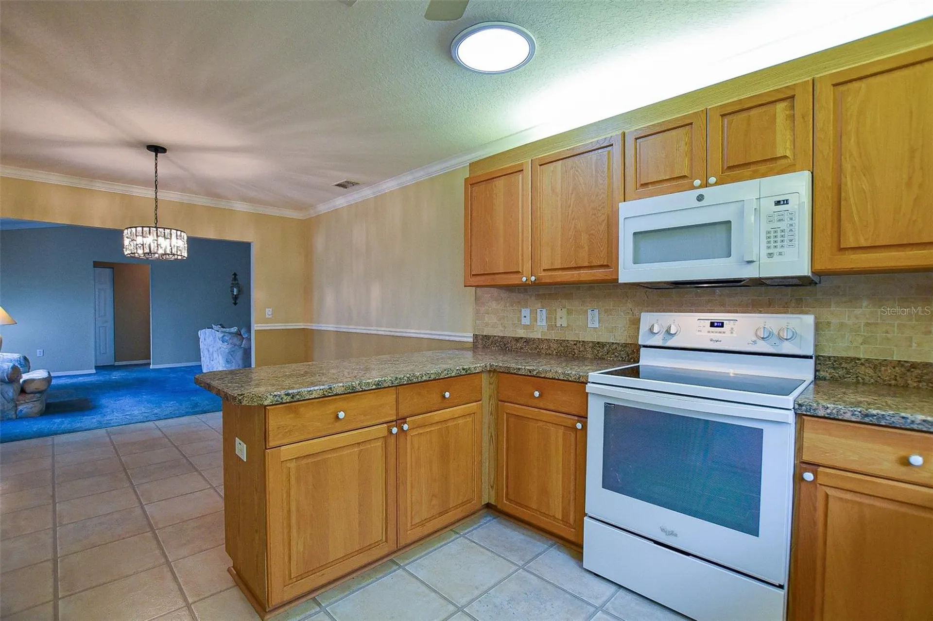 9033 SE 135th Loop Summerfield FL 34491
