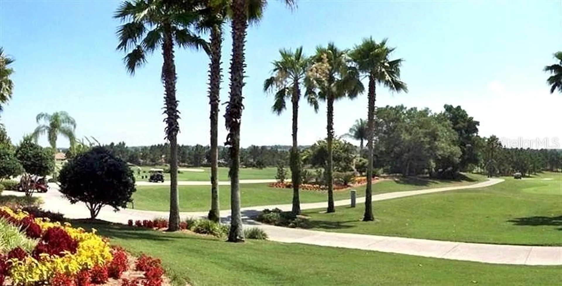 9033 SE 135th Loop Summerfield FL 34491