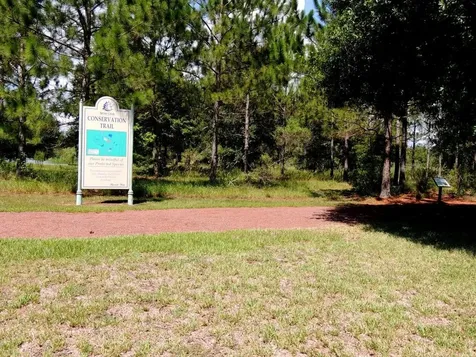9033 SE 135th Loop Summerfield FL 34491