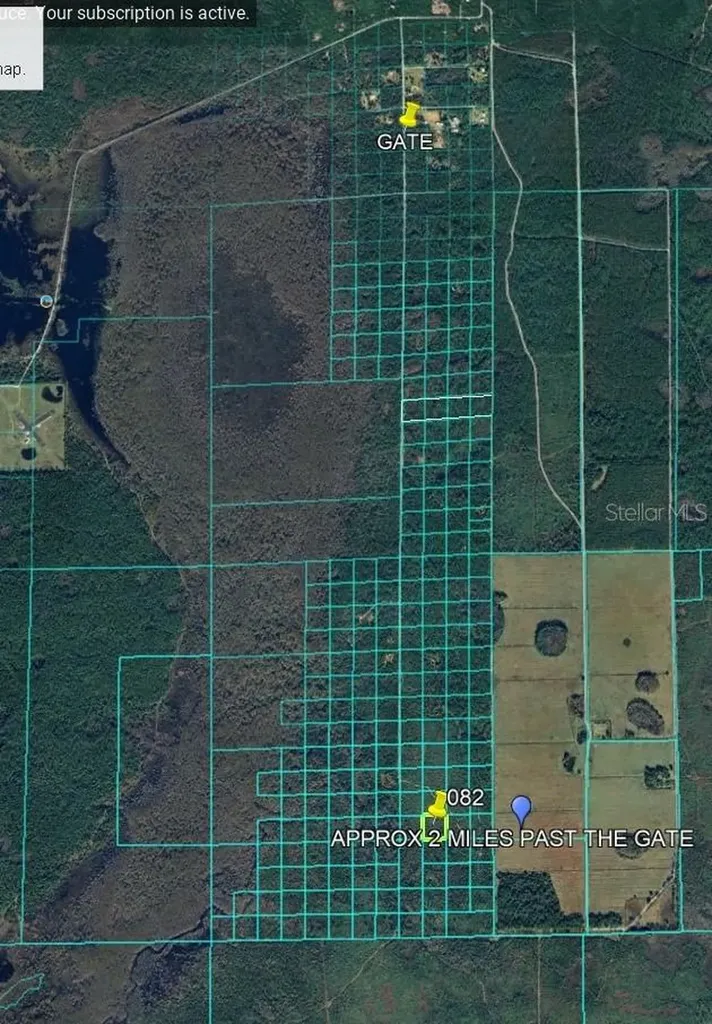 Lake Harney Road Osteen FL 32764