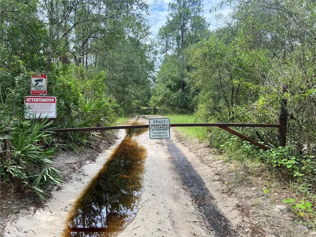 Lake Harney Road Osteen FL 32764
