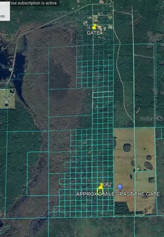 Lake Harney Road Osteen FL 32764