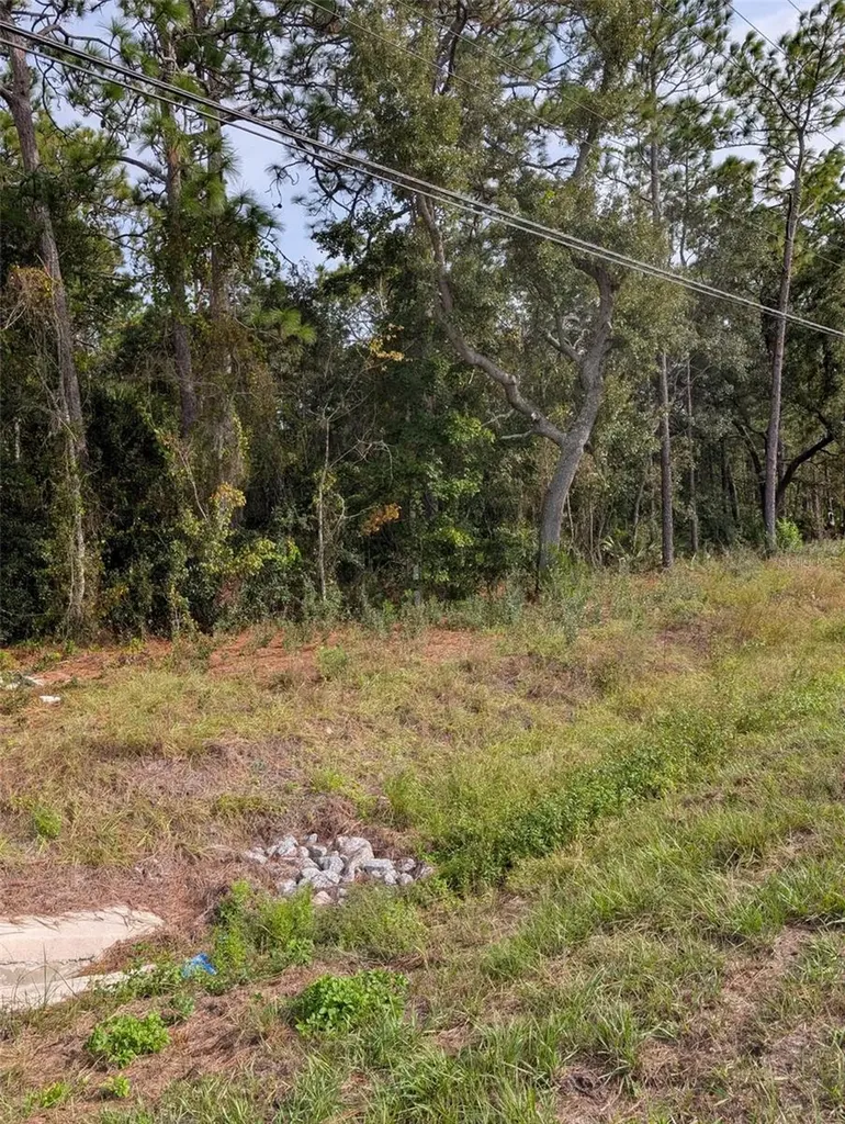 9115 S Suncoast Boulevard Homosassa FL 34446