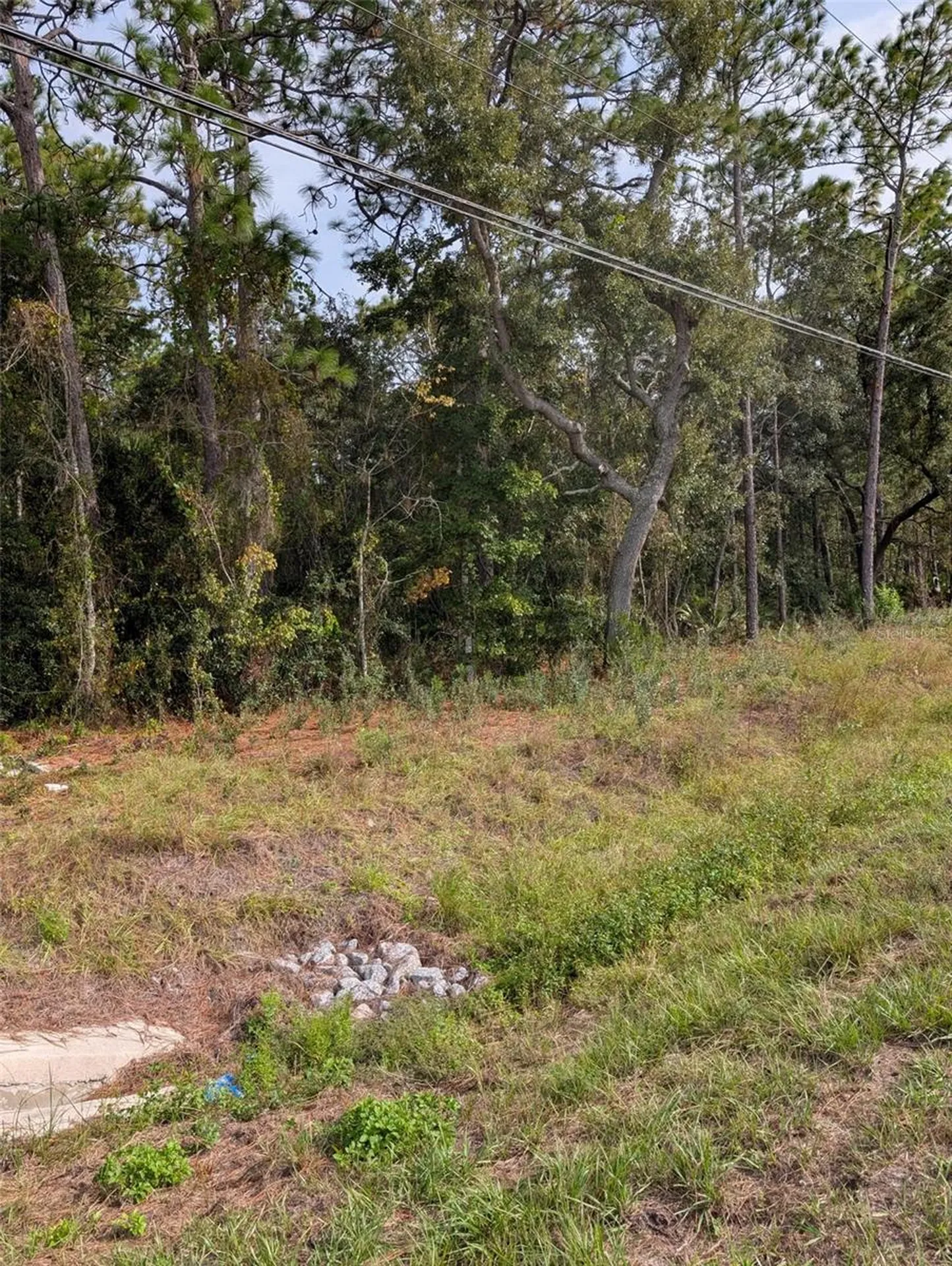 9115 S Suncoast Boulevard Homosassa FL 34446