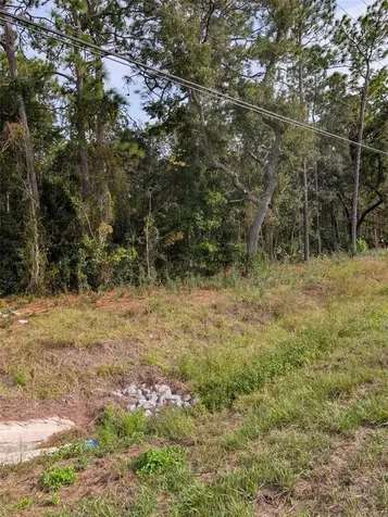 9115 S Suncoast Boulevard Homosassa FL 34446