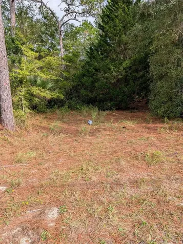 9115 S Suncoast Boulevard Homosassa FL 34446