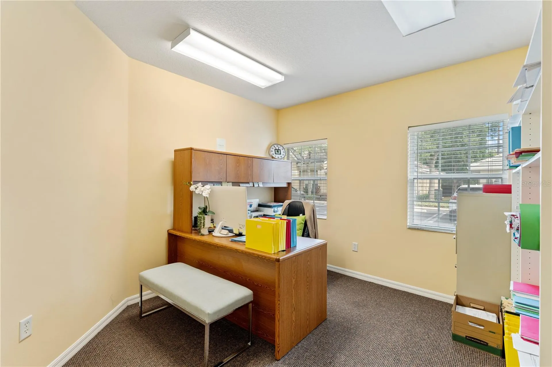 18540 N Dale Mabry Highway Lutz FL 33548