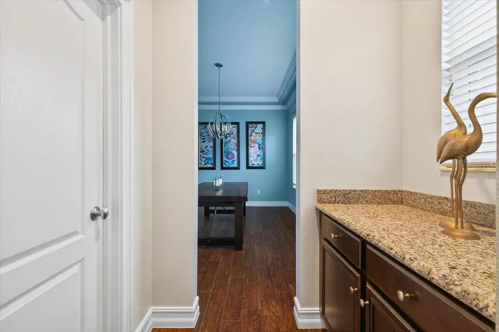 6609 Current Drive Apollo Beach FL 33572