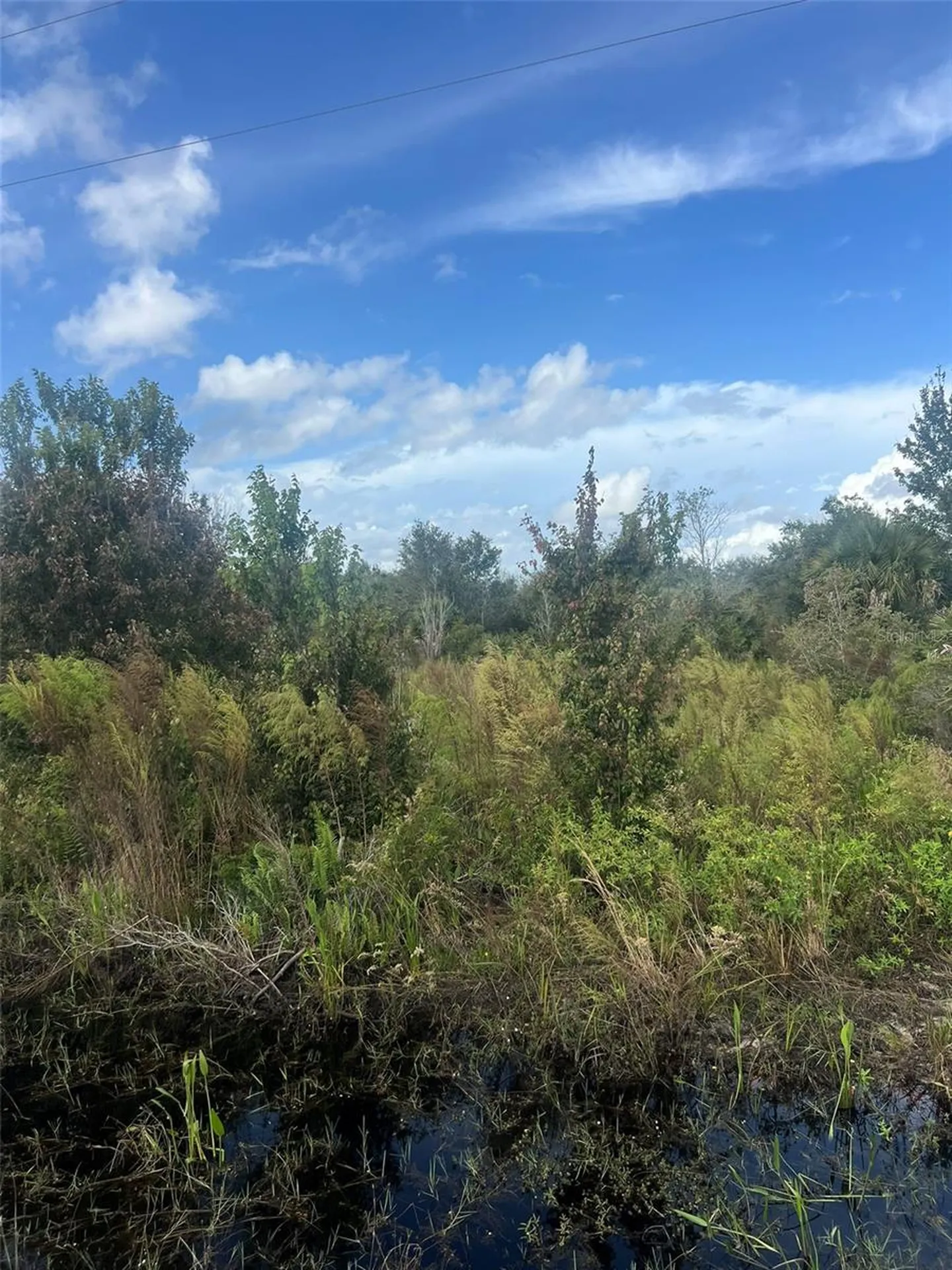 19089 NW 282nd Street Okeechobee FL 34972