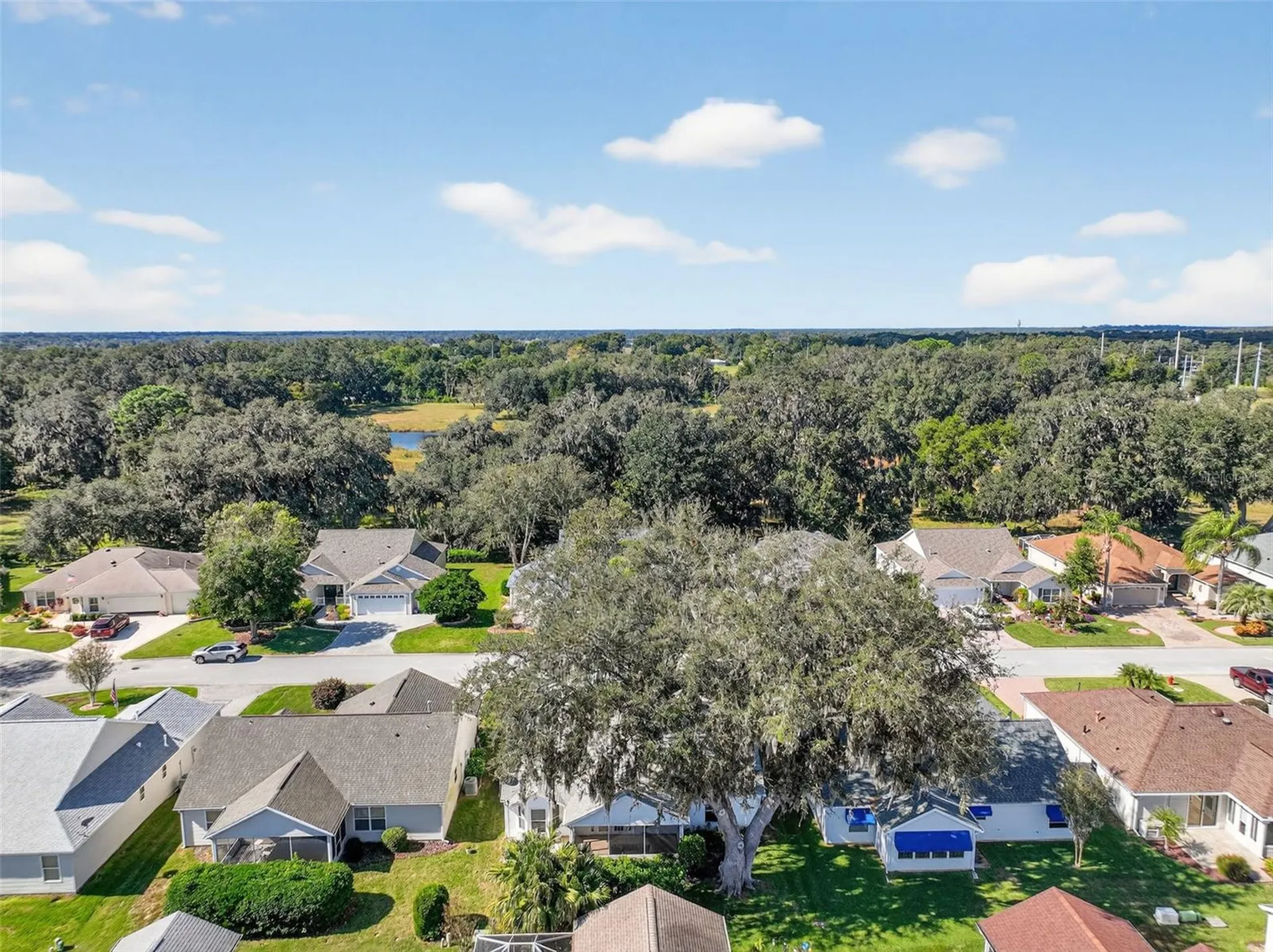 7168 SE 173rd Arlington Loop The Villages FL 32162