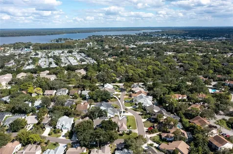 4113 Seton Circle Palm Harbor FL 34683