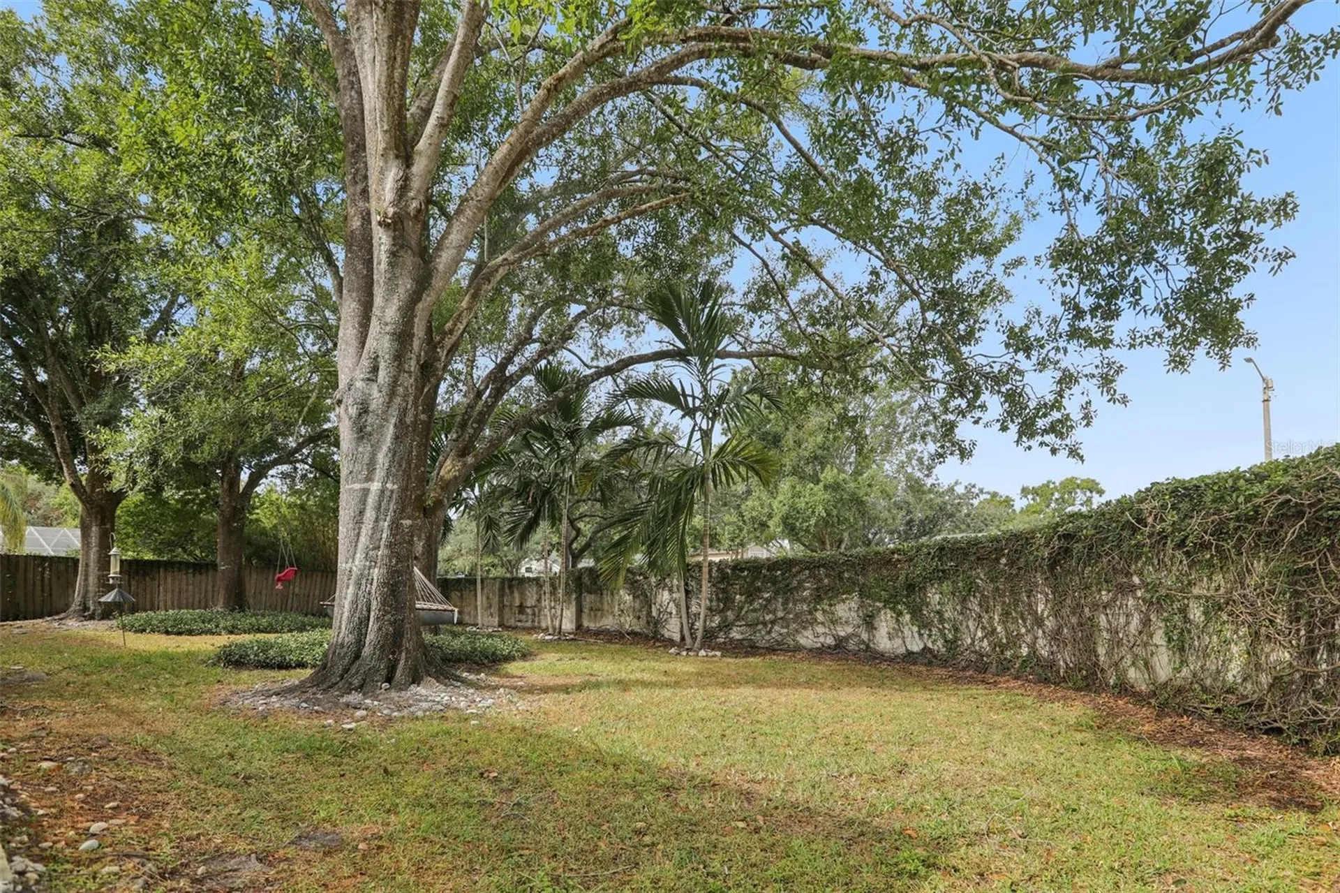 14534 Nettle Creek Road Tampa FL 33624