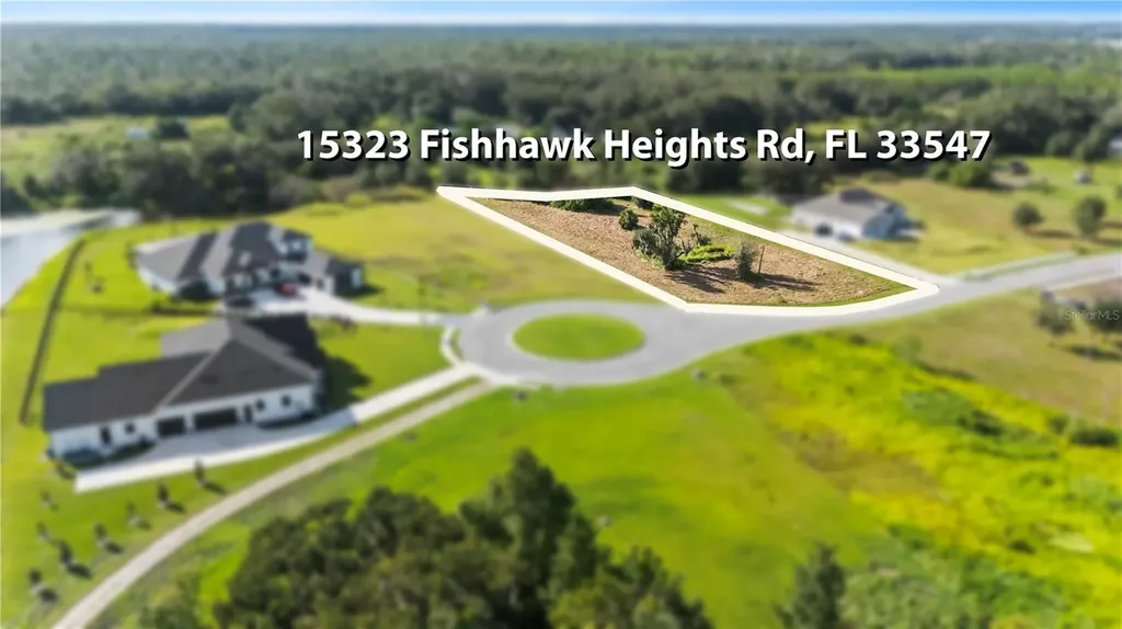 15323 Fishhawk Heights Run Lithia FL 33547