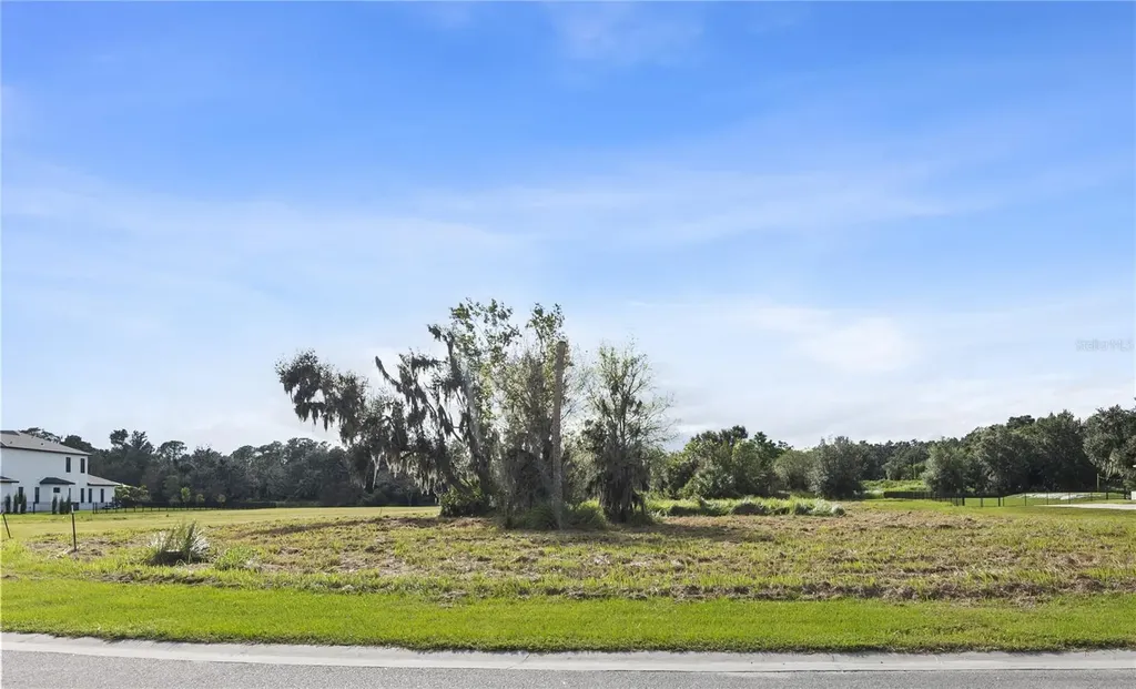 15323 Fishhawk Heights Run Lithia FL 33547