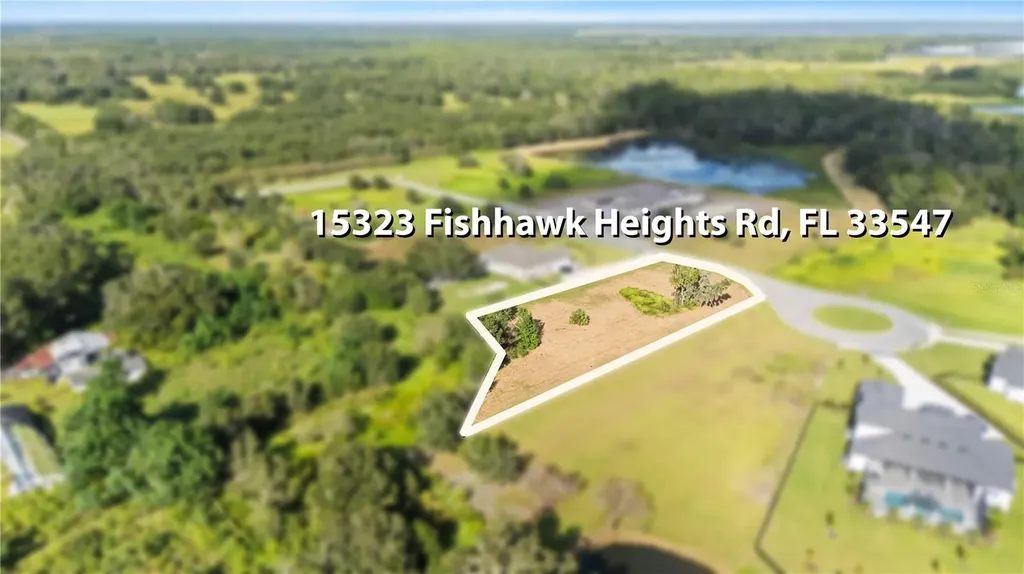 15323 Fishhawk Heights Run Lithia FL 33547