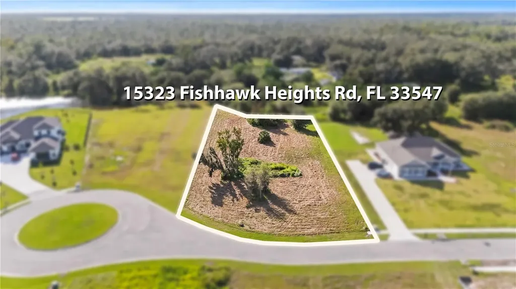15323 Fishhawk Heights Run Lithia FL 33547