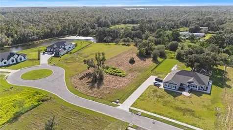 15323 Fishhawk Heights Run Lithia FL 33547