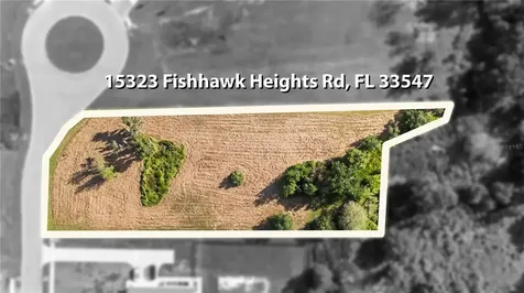 15323 Fishhawk Heights Run Lithia FL 33547