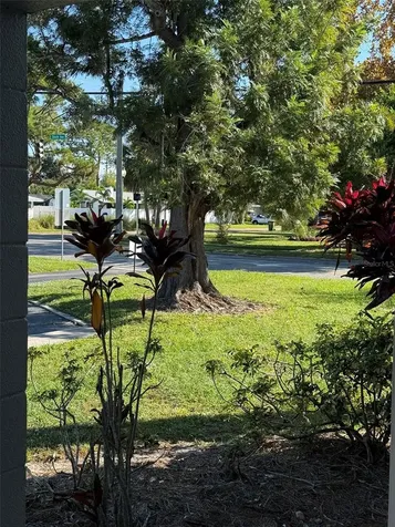 2304 Ringling Boulevard Sarasota FL 34237