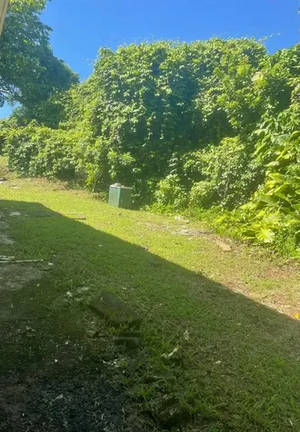 Carr 842 Caimito Alto San Juan PR 00926