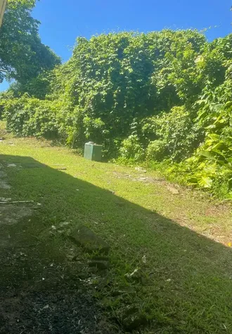 Carr 842 Caimito Alto San Juan PR 00926