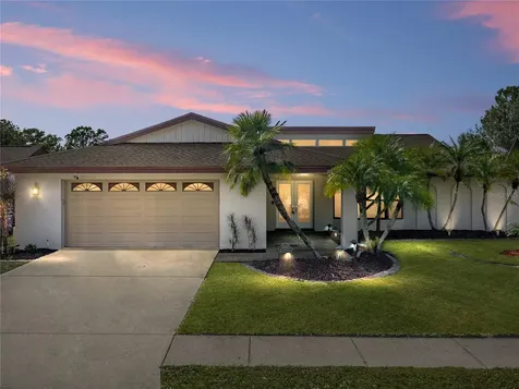16404 Ashwood Drive Tampa FL 33624