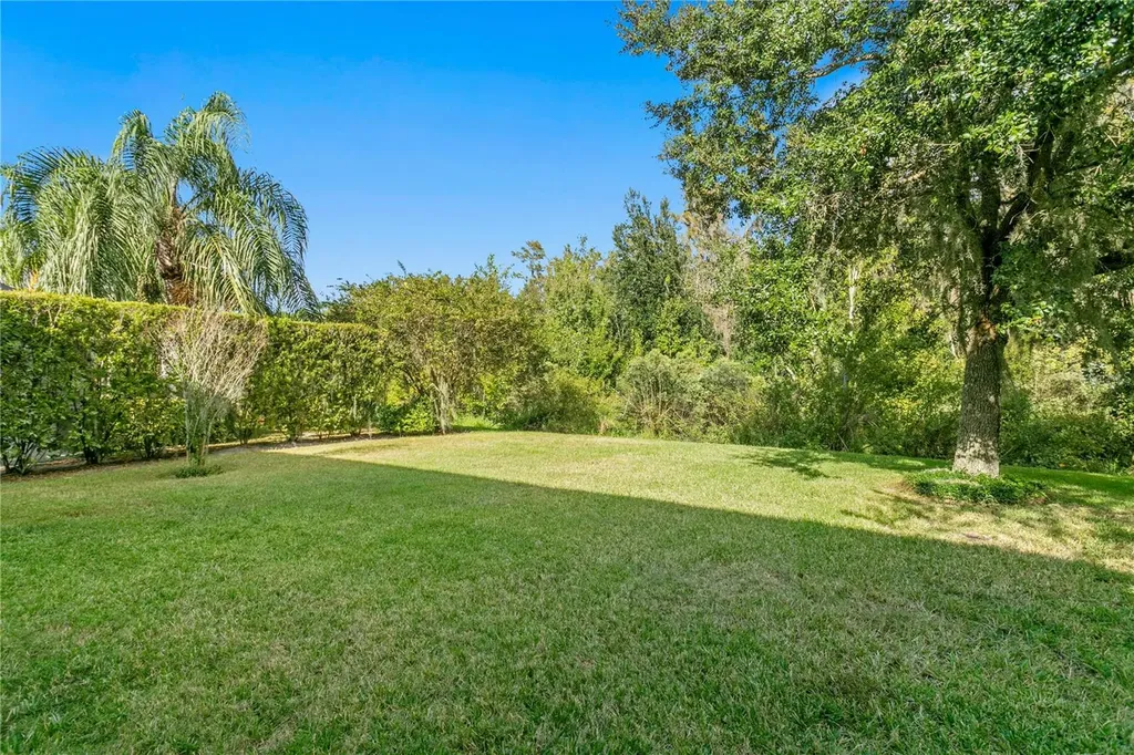 19303 Water Maple Drive Tampa FL 33647