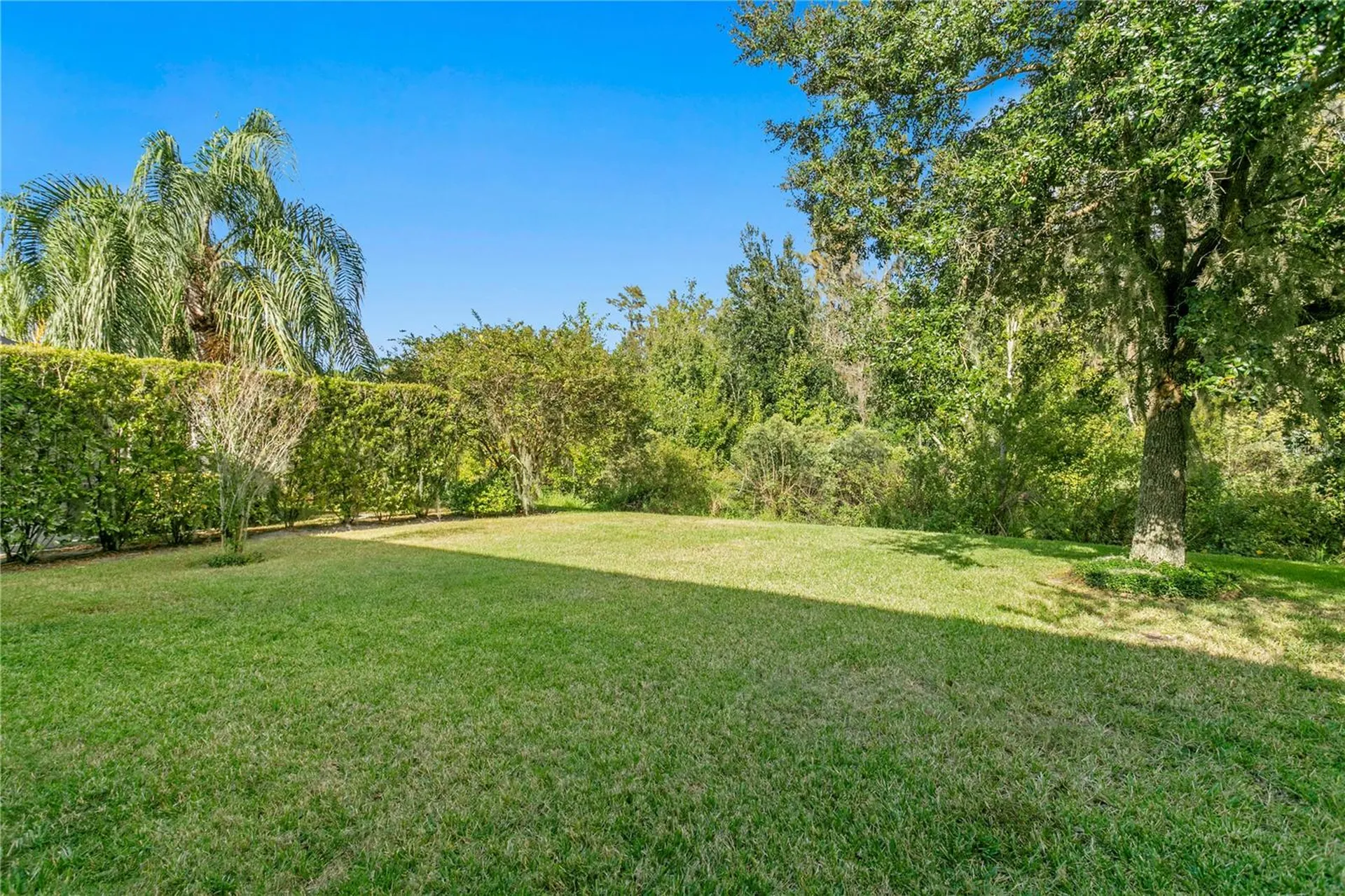 19303 Water Maple Drive Tampa FL 33647